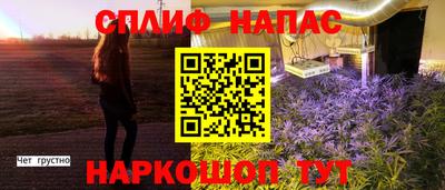 дмт Пушкино